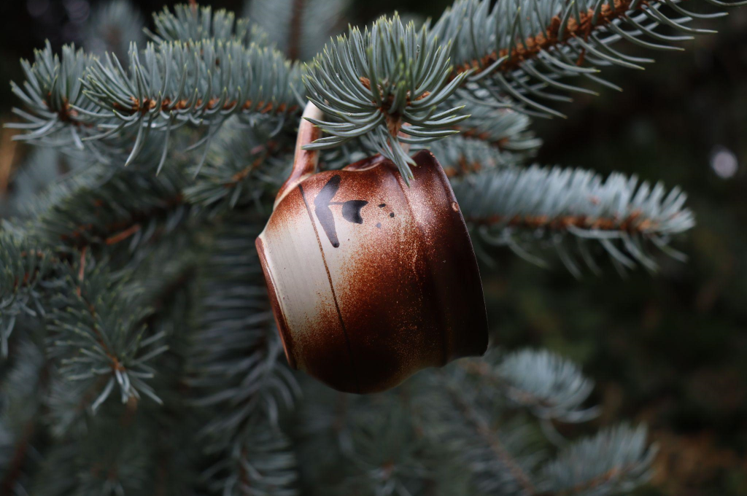 Brighten Your Holidays with a Christmas Tree with Lights